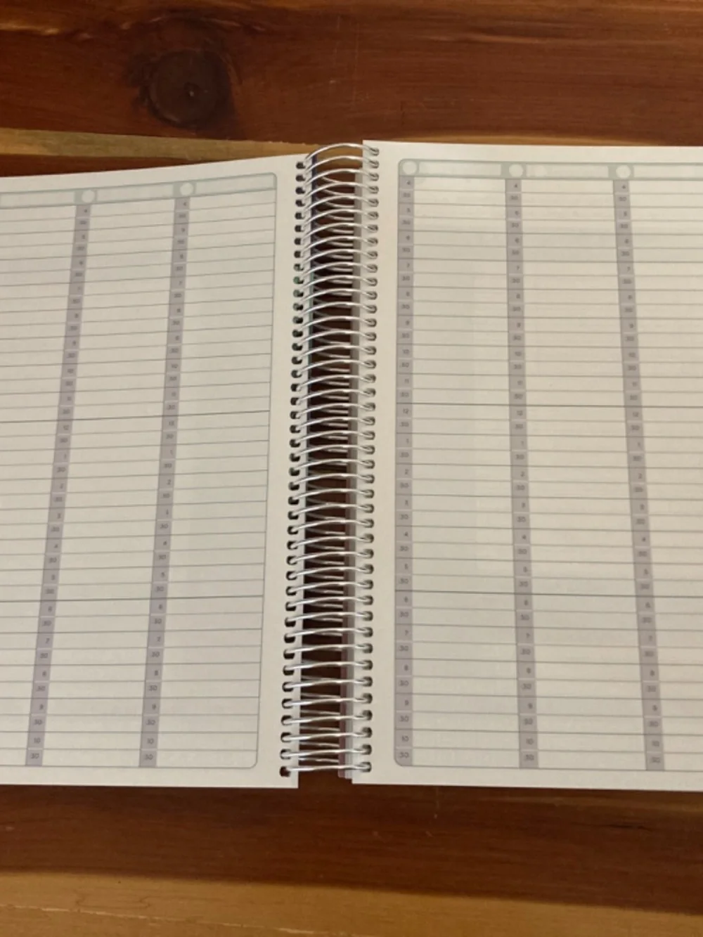 *LAST ONE*NEW The Budget Mom Live Rich Planner (Small) and Pink Folio